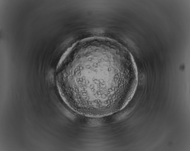 X0000089760238200707121410