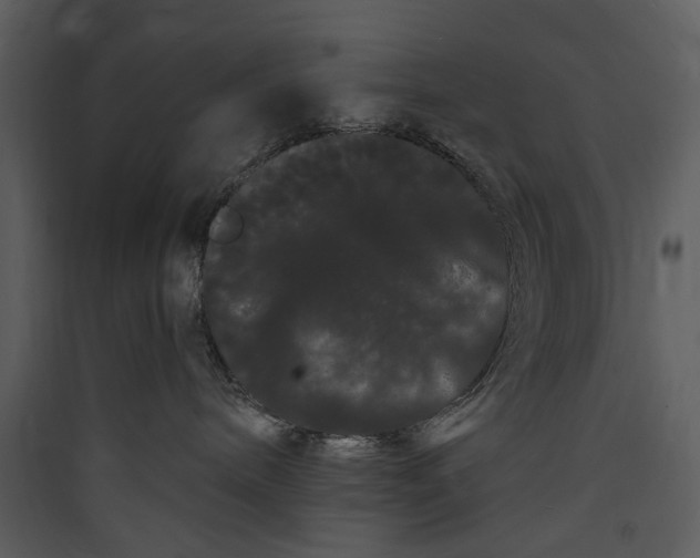 X0000089760240200707121410