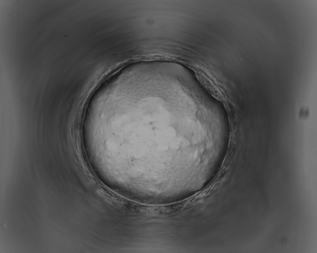 X0000089760241200707121409
