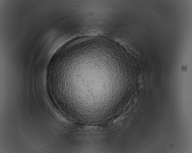 X0000089760242200707121409