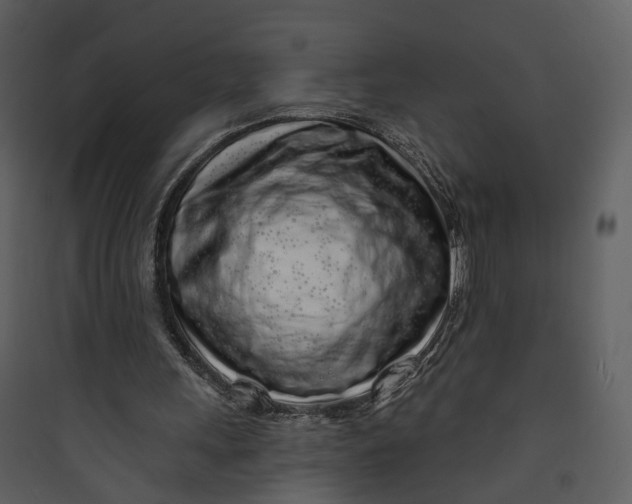 X0000089760243200707121409
