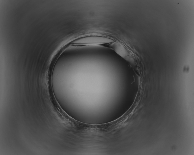 X0000089760244200707121409