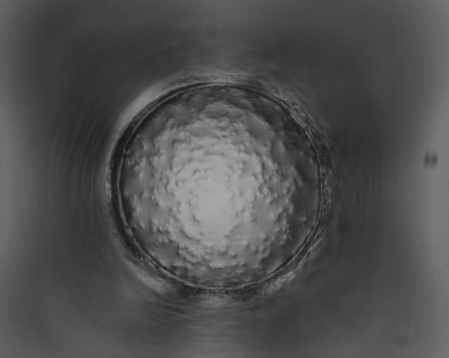 X0000089760246200707121409
