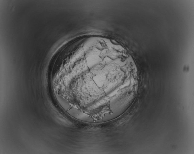 X0000089760247200707121409