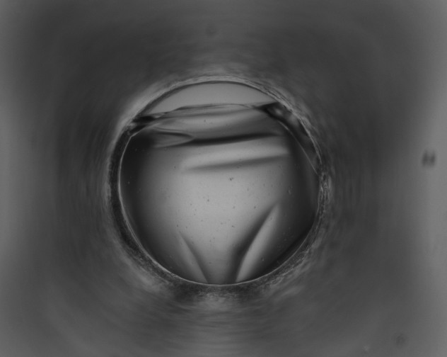 X0000089760248200707121409