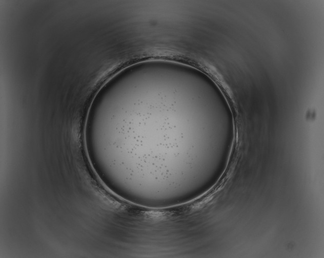 X0000089760249200707121409