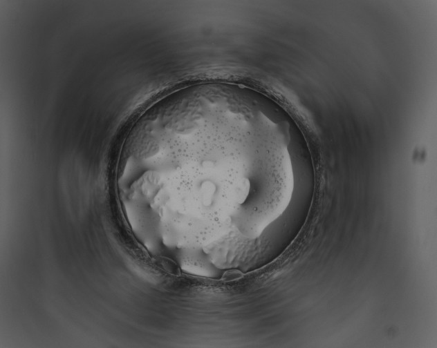 X0000089760250200707121409