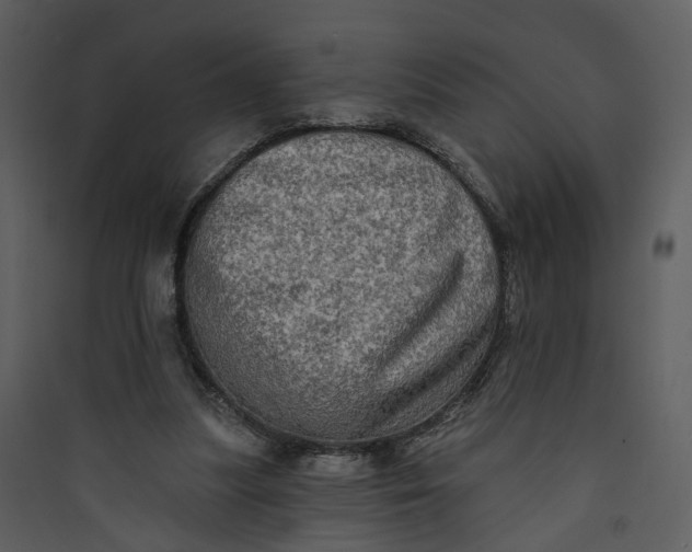 X0000089760251200707121409