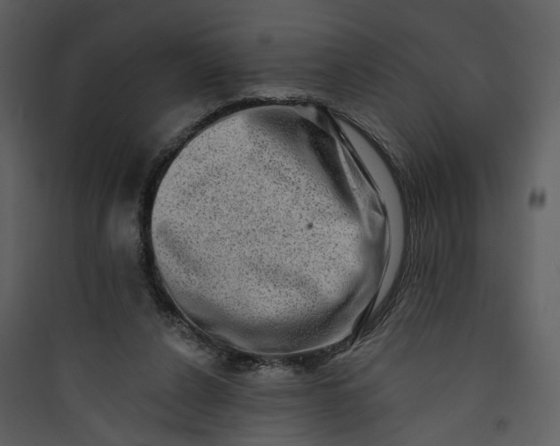 X0000089760256200707121409