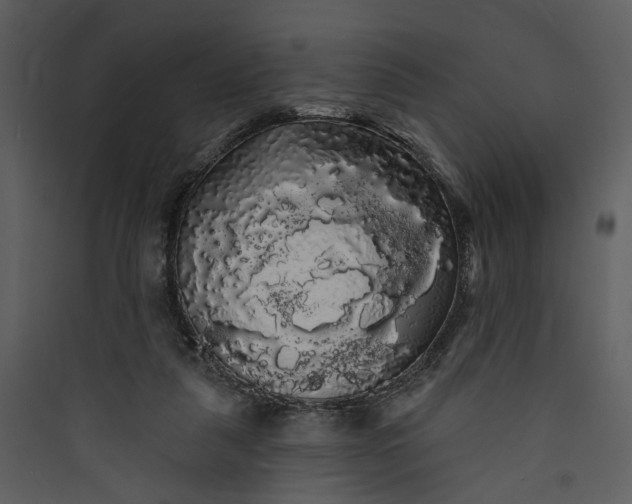 X0000089760259200707121409