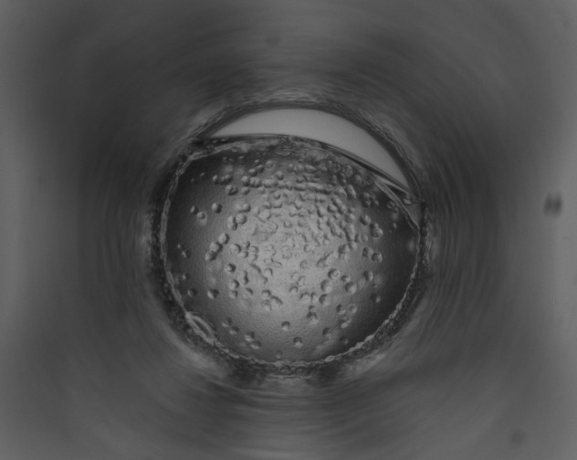 X0000089760260200707121409