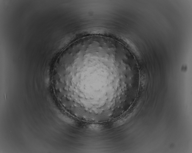 X0000089760261200707121409