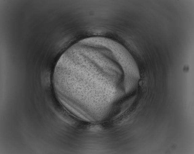 X0000089760262200707121409