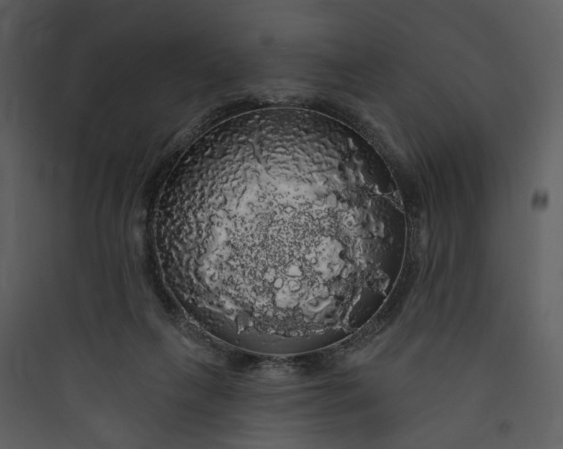 X0000089760263200707121409