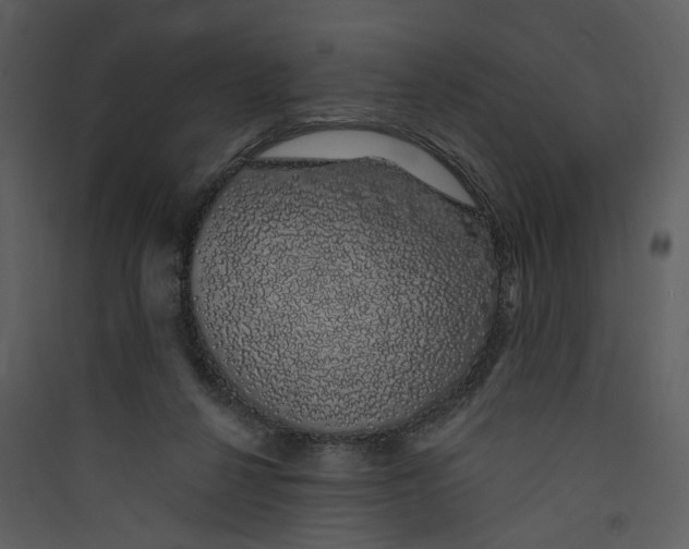X0000089760264200707121409