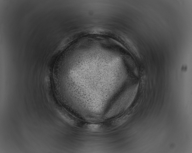 X0000089760265200707121409