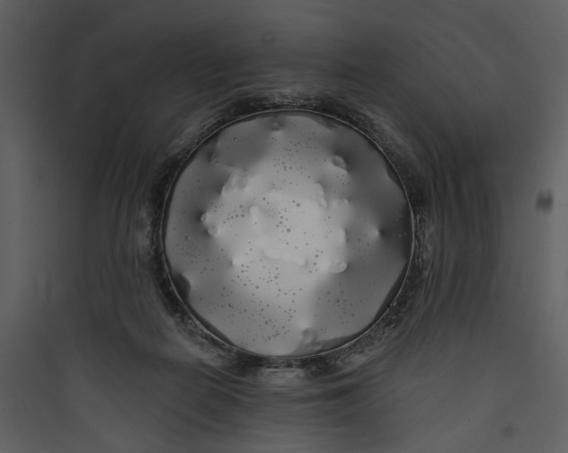 X0000089760266200707121409