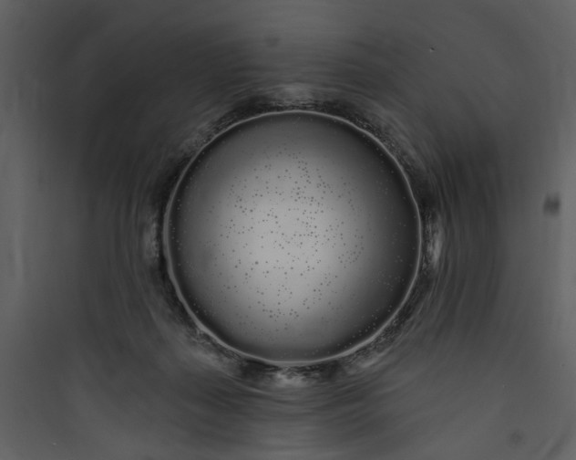 X0000089760267200707121409