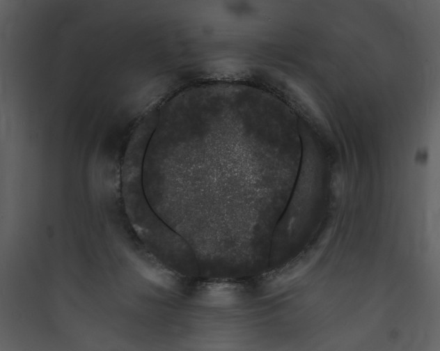 X0000089760268200707121409