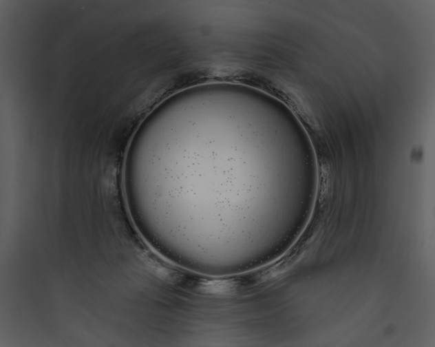 X0000089760269200707121410