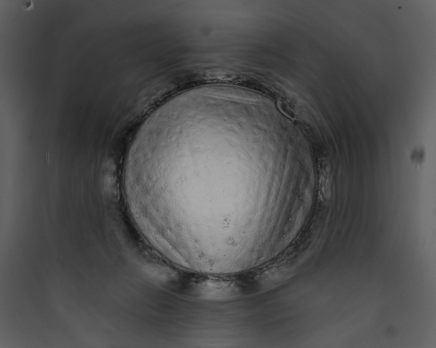 X0000089760270200707121410