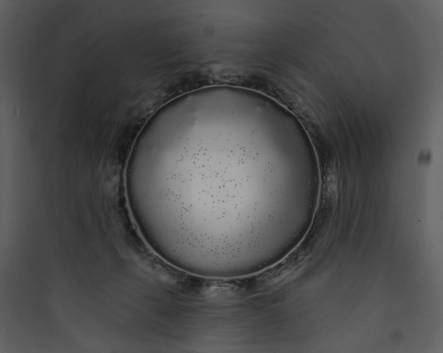 X0000089760271200707121410