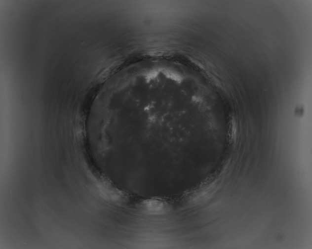 X0000089760272200707121410