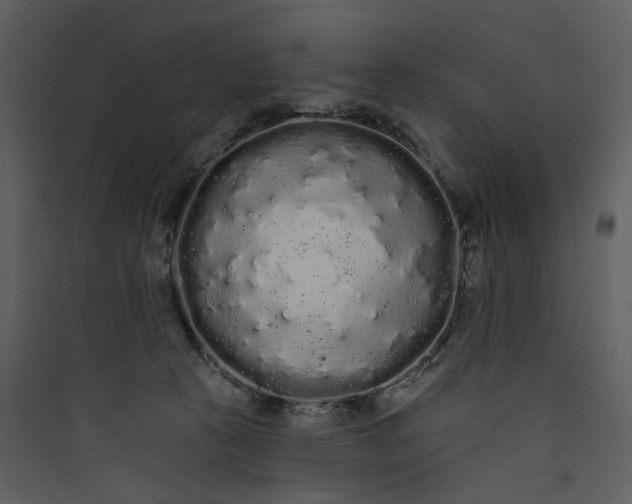 X0000089760273200707121410