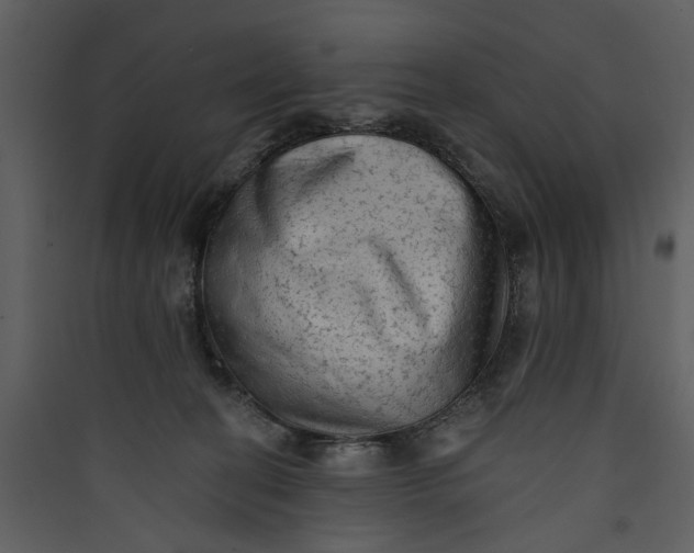 X0000089760274200707121410