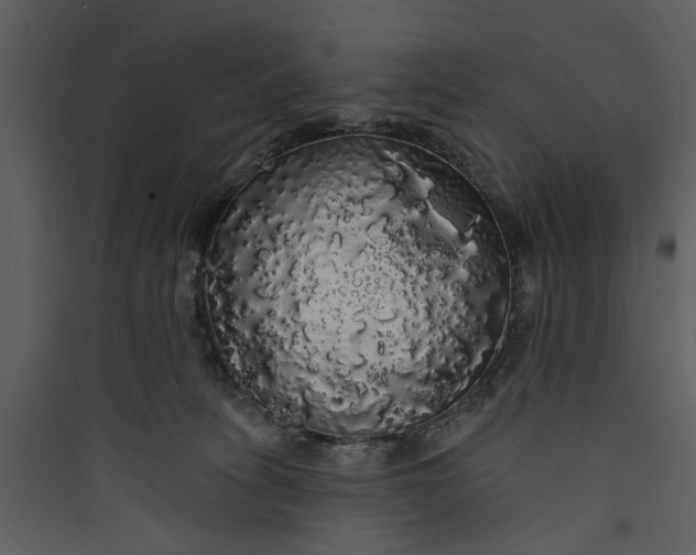 X0000089760275200707121410