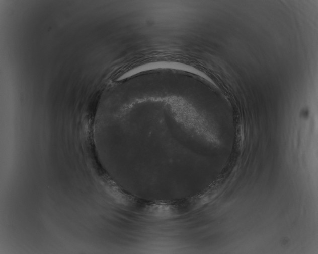 X0000089760276200707121410