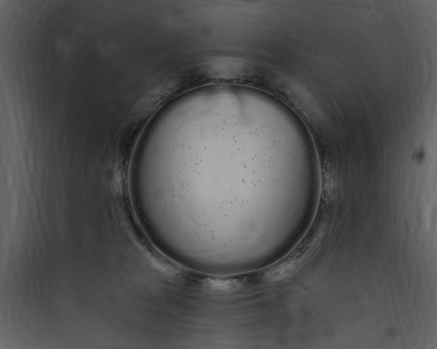 X0000089760277200707121410
