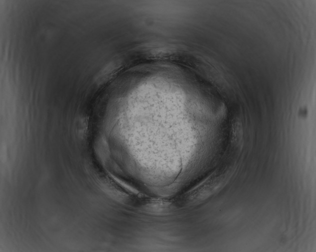 X0000089760278200707121410