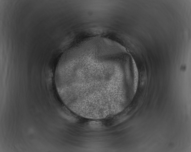 X0000089760279200707121410