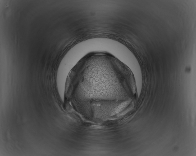 X0000089760280200707121410