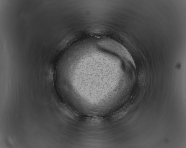 X0000089760282200707121410