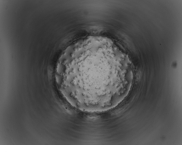 X0000089760283200707121410