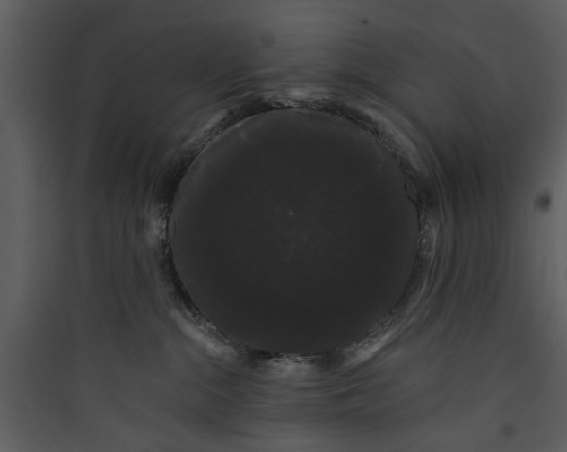 X0000089760284200707121410