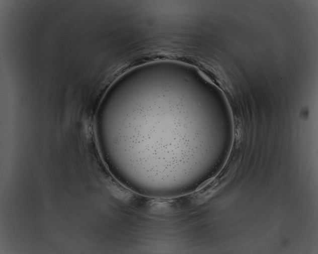X0000089760285200707121410