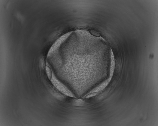 X0000089760287200707121410