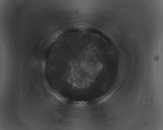 X0000089760288200707121410