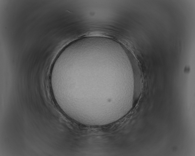 X0000089760289200707121409