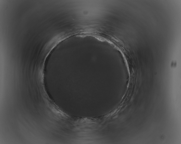 X0000089760290200707121409