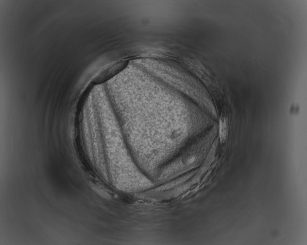 X0000089760291200707121409