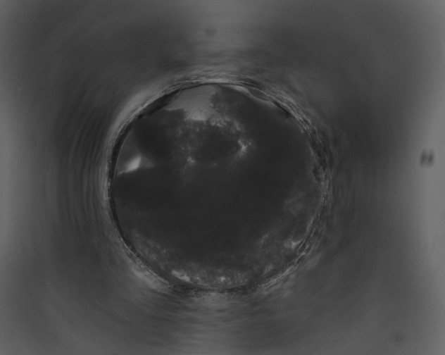 X0000089760293200707121409