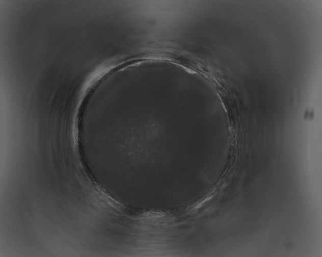 X0000089760294200707121409