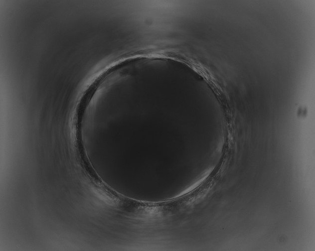 X0000089760295200707121409