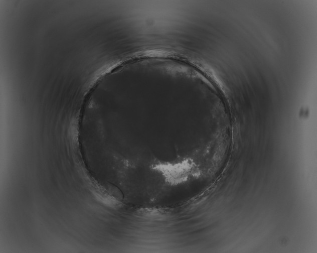 X0000089760297200707121409
