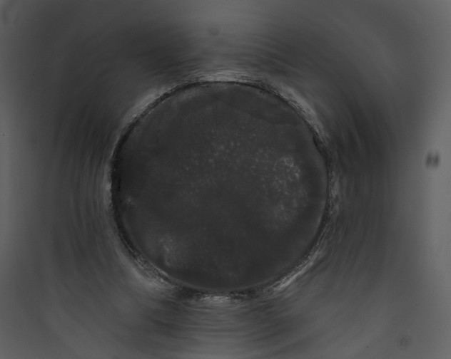 X0000089760298200707121409