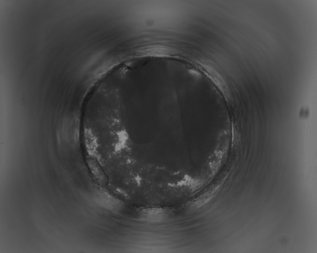 X0000089760301200707121409